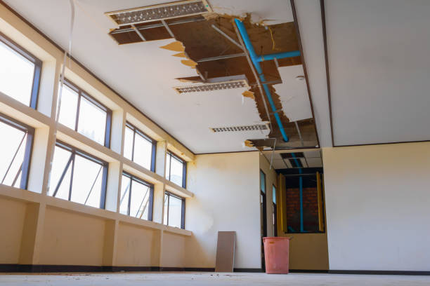 Carpet water damage restoration in Great Neck, NY
