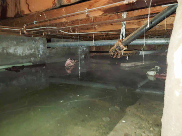 Best Ceiling water damage repair  in Great Neck, NY