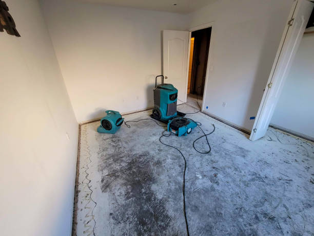 Water damage restoration experts in Great Neck, NY