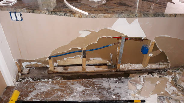 Best Mold removal after water damage  in Great Neck, NY
