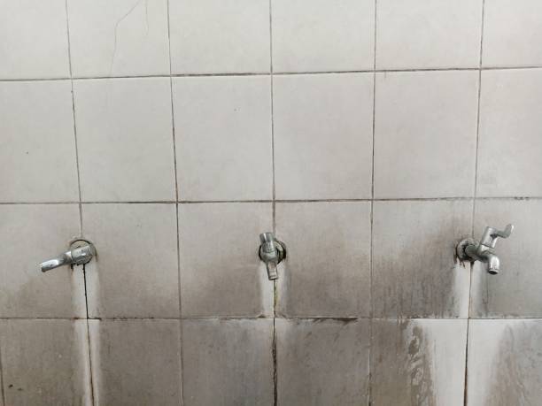 Best Water damage cleanup near me  in Great Neck, NY