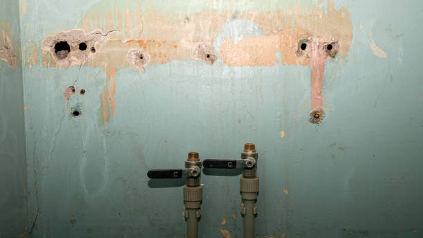 Best Flooded house restoration  in Great Neck, NY