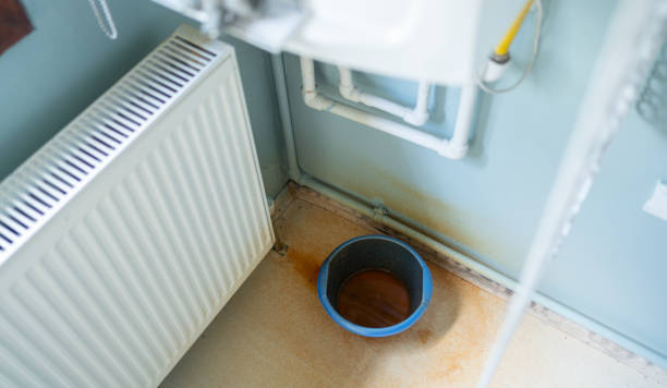 Best Carpet water damage restoration  in Great Neck, NY