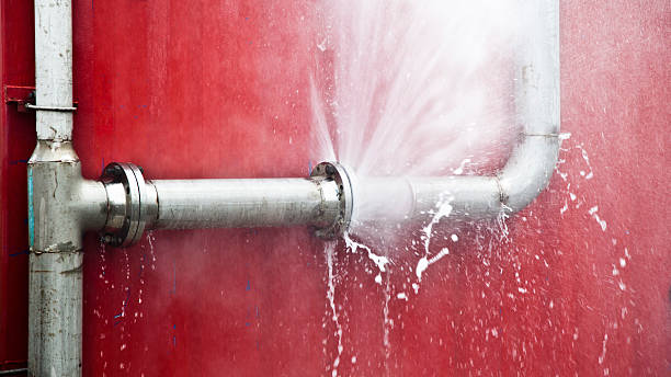 Best Professional water damage repair  in Great Neck, NY