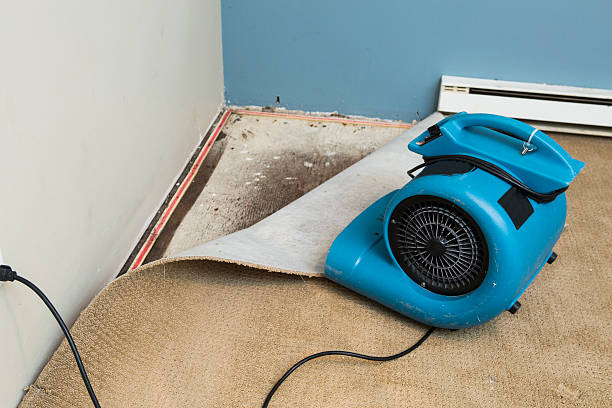 Best Water damage contractors near me  in Great Neck, NY
