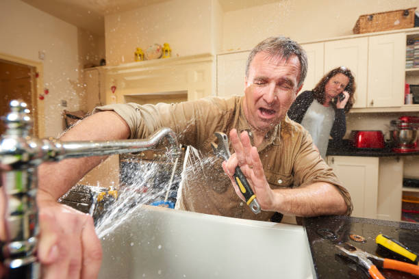 Best Professional water damage repair  in Great Neck, NY